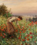 Daniel Ridgeway Knight Girl Picking Poppies oil painting reproduction